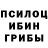 Галлюциногенные грибы MAGIC MUSHROOMS Eagle 05