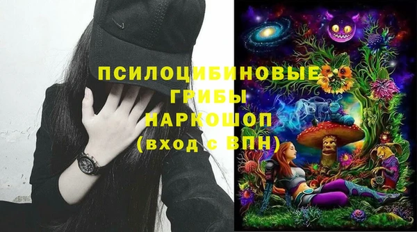 сатива Богданович