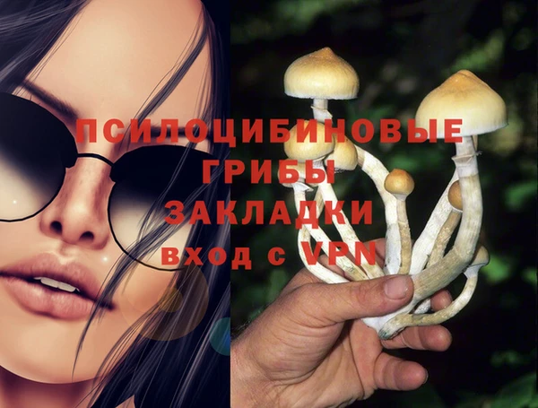 дживик Богородск
