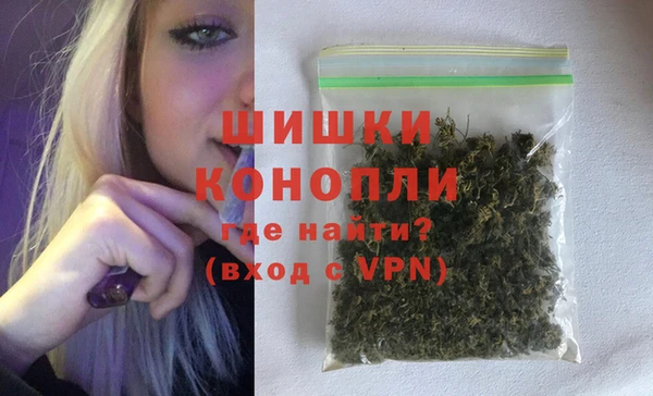сатива Богданович