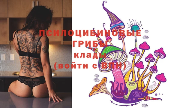 сатива Богданович