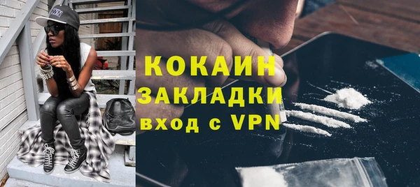 дживик Богородск