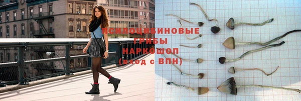 сатива Богданович