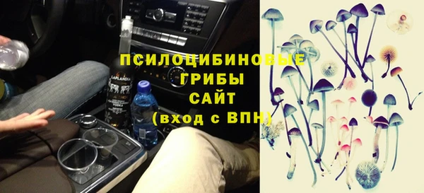дживик Богородск