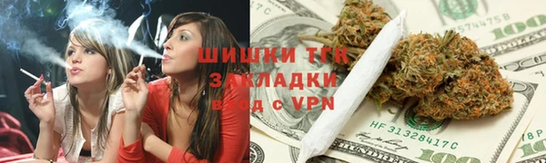 дживик Богородск